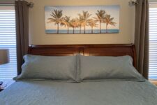 Photo of Disney Island Palms Photo of Disney Island Palms