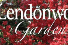 Logo for Lendonwood Gardens Logo for Lendonwood Gardens